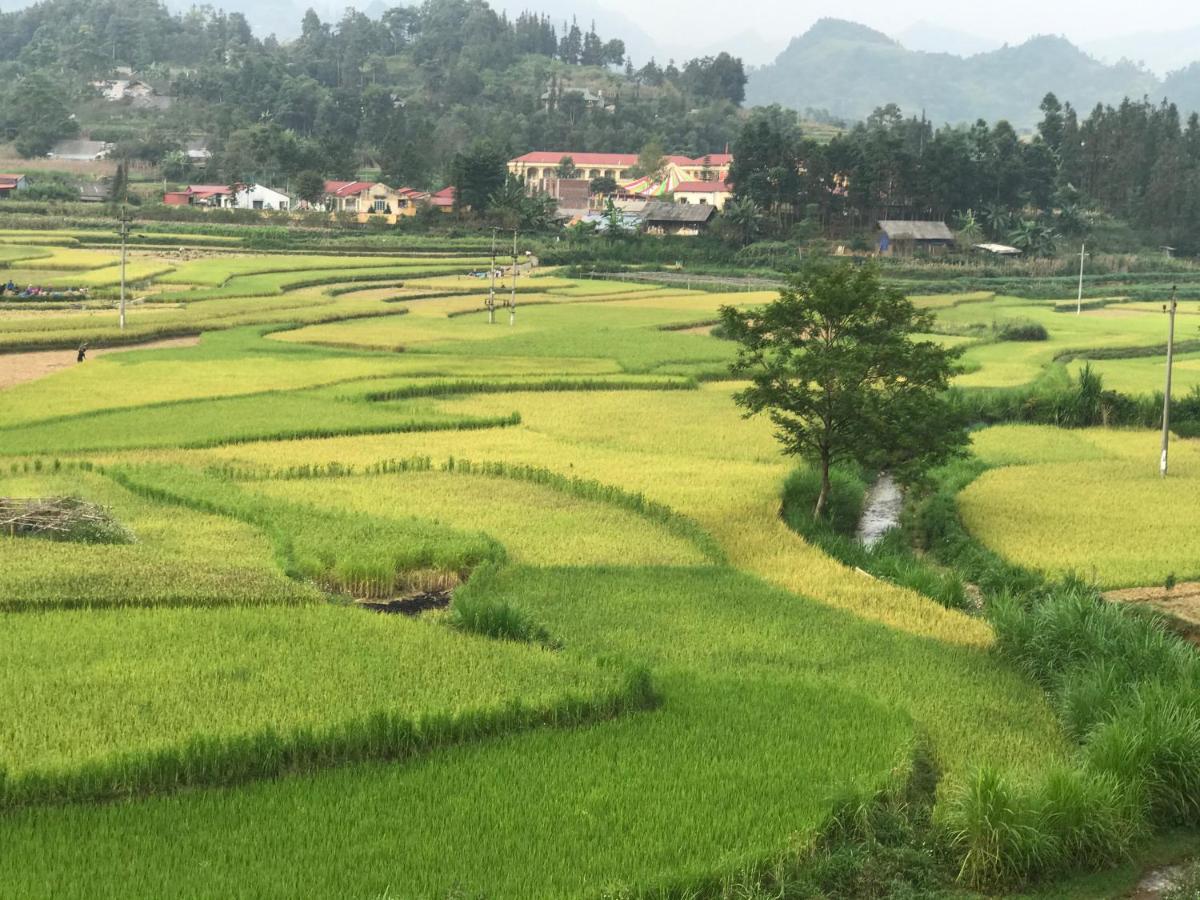 So H'Mong Homestay Bac Ha  Bagian luar foto