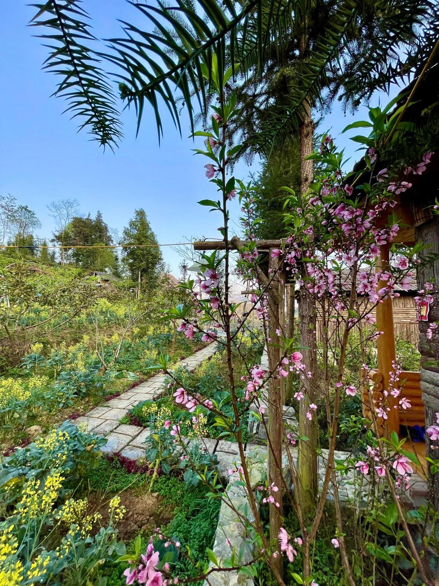 So H'Mong Homestay Bac Ha  Bagian luar foto