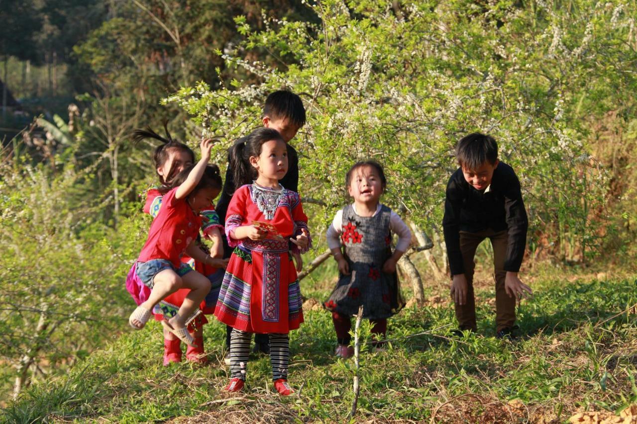So H'Mong Homestay Bac Ha  Bagian luar foto